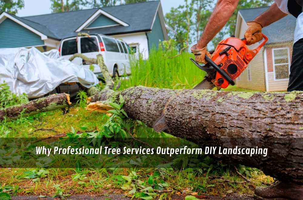 Why Professional Tree Services Outperform DIY Landscaping