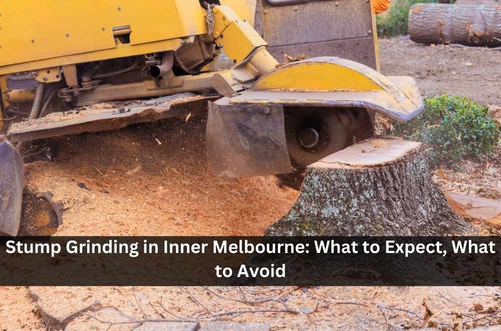 Stump Grinding in Inner Melbourne: What to Expect, What to Avoid