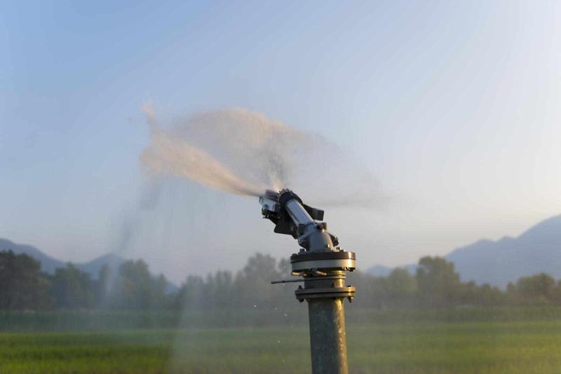 Irrigation Water Management: Precision for Maximum Efficiency