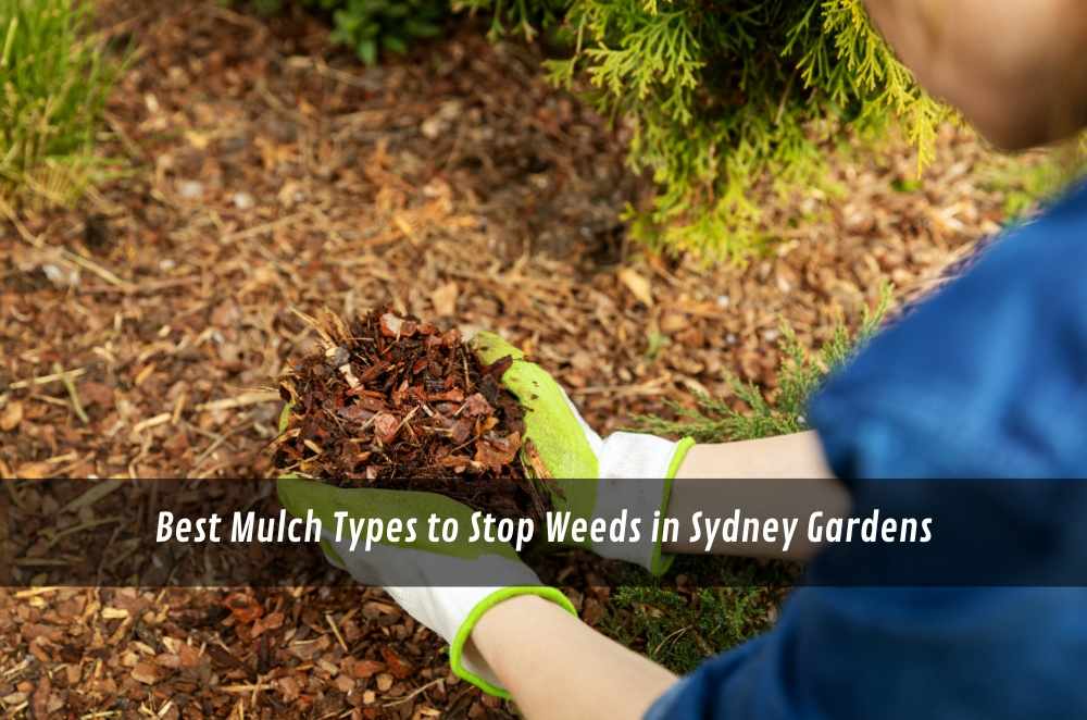 Best Mulch Types to Stop Weeds in Sydney Gardens