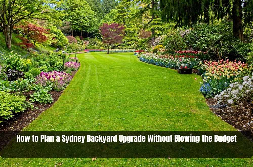 How to Plan a Sydney Backyard Upgrade Without Blowing the Budget