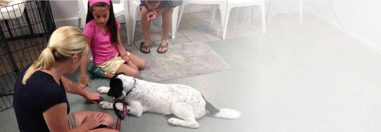 Best Dog Training in Cranston