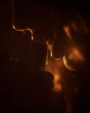 Will you Marry me Jaan, थोड़ा रोमेंस