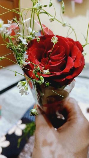 Sameena Siddiqui logo