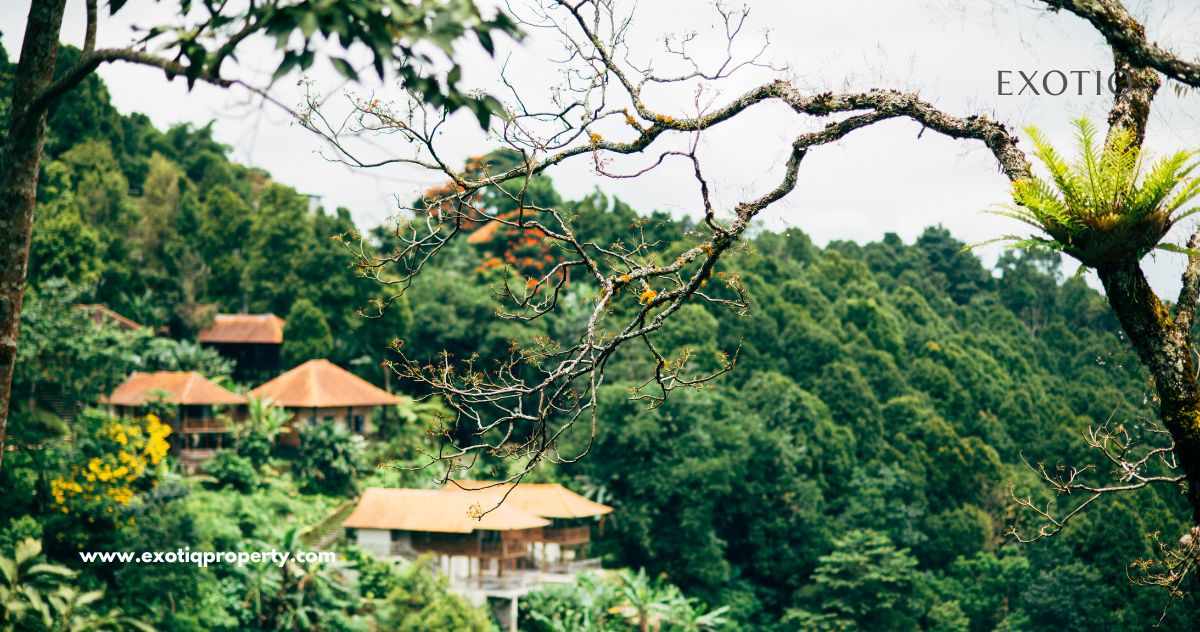 Buy Property in Bali | Purchase Luxury Property for Sale in Bali