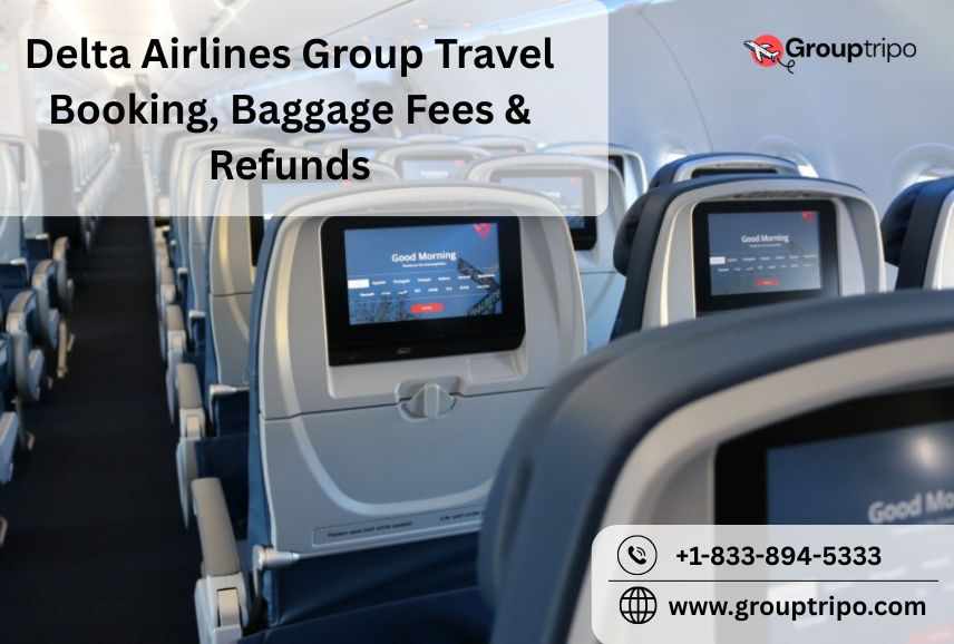 Delta Airlines Group Travel Booking, Baggage Fees & Refunds