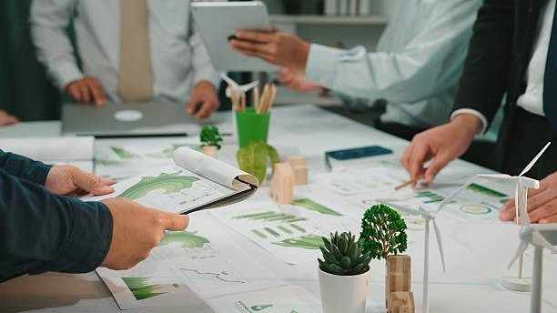 La Hoja de Ruta de la Sostenibilidad: Casos de Éxito en Empresas Verdes Mexicanas
