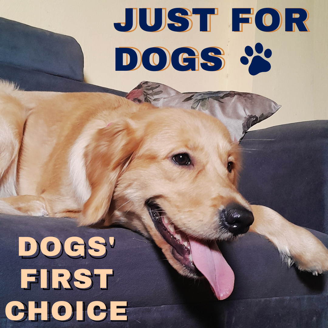 About Just for Dogs