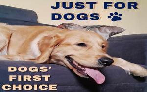 About Just for Dogs