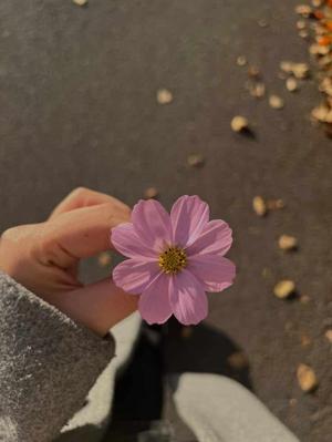 So don't worry