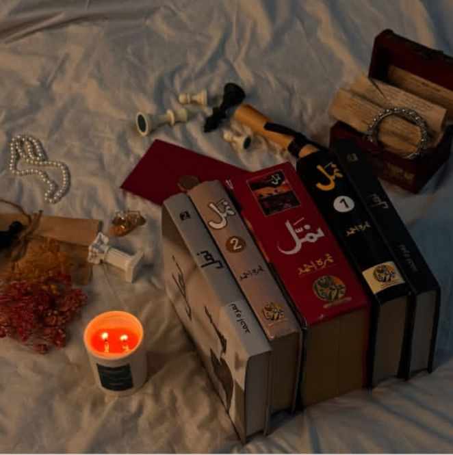 NOVEL