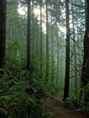 Chapter 19: Looming threat and new insights?