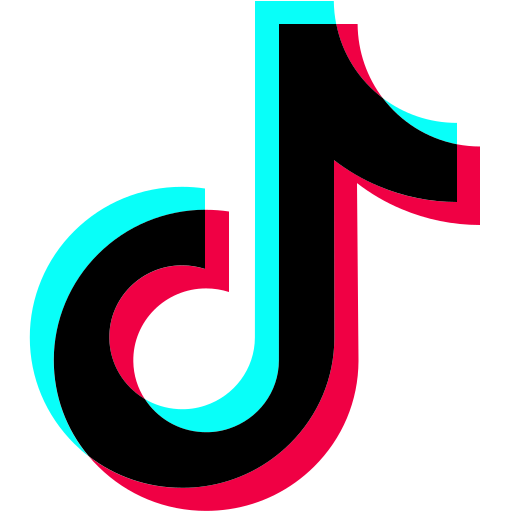 Best TikTok SMM Panel | Cheapest TikTok Followers, Likes & Views – The SMM Empire