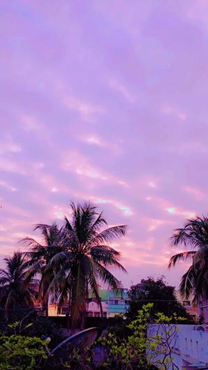 Smruti Priyadarshini Behera logo