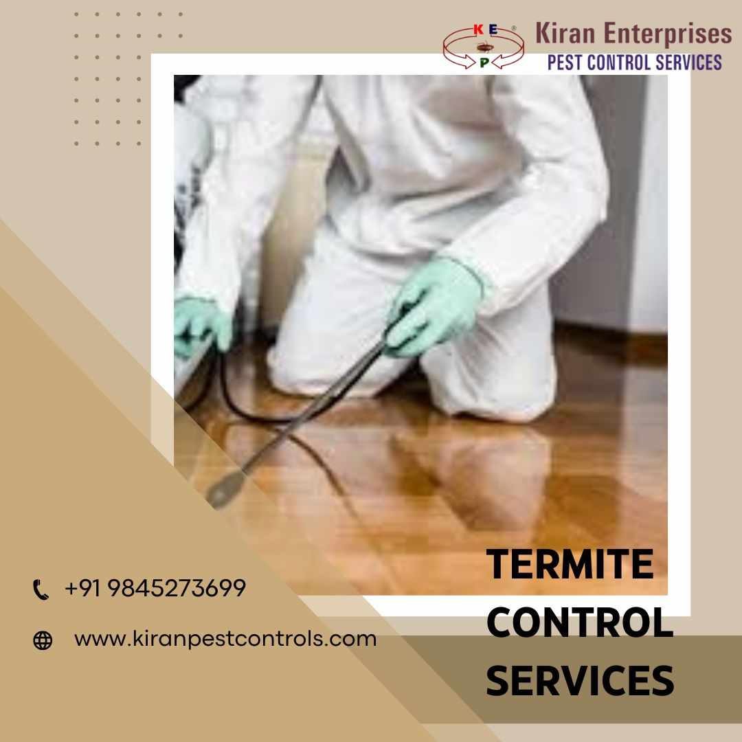 Termite Control Services in Akshaya Nagar | Safe & Effective Solutions