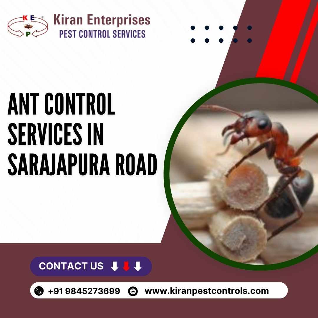 Ant Control Services in Sarajapura Road | Protect Your Home
