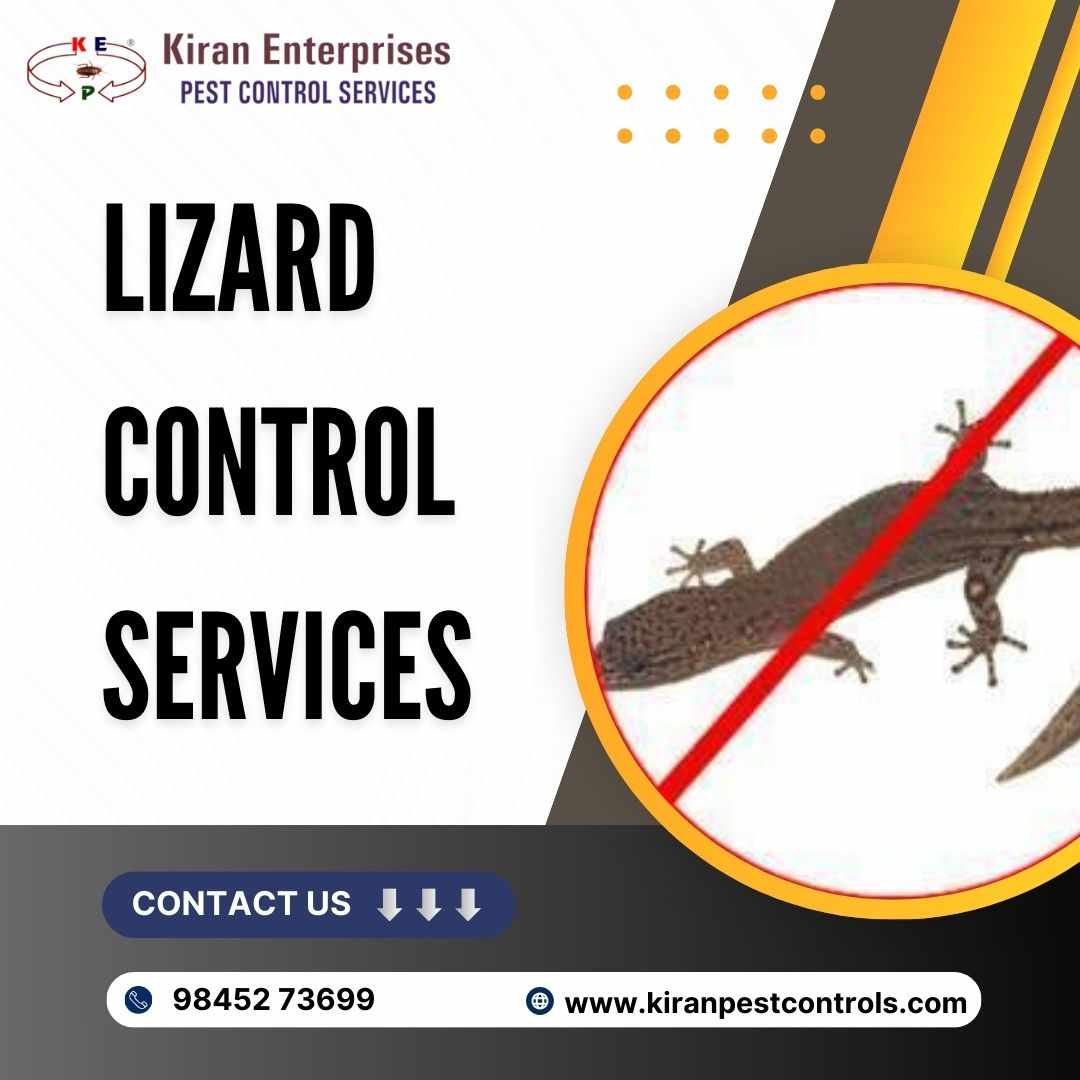 Lizard Control Services in Sarajapura Road | Expert Pest Control