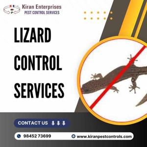 Lizard Control Services in Sarajapura Road | Expert Pest Control