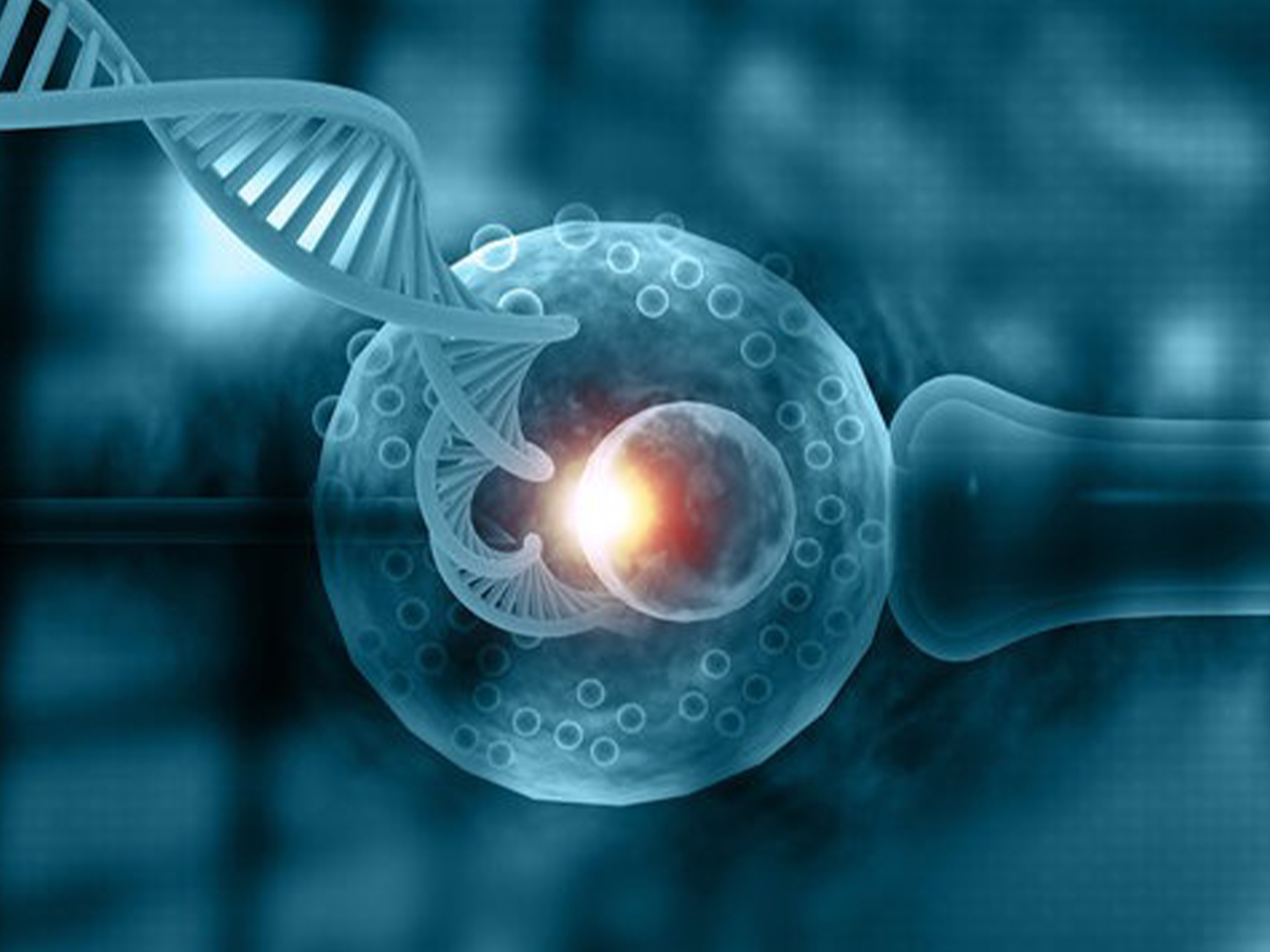 Trusted Fertility Consultant in Delhi & Premium PGTA Test Services for Advanced IVF Care