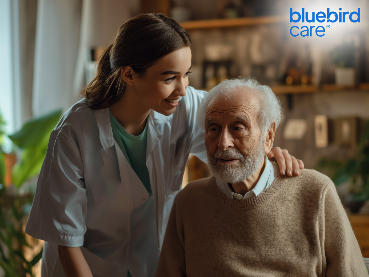 Home Companion Care for Seniors in Barnet: Enhancing Comfort, Independence, and Emotional Well-Being