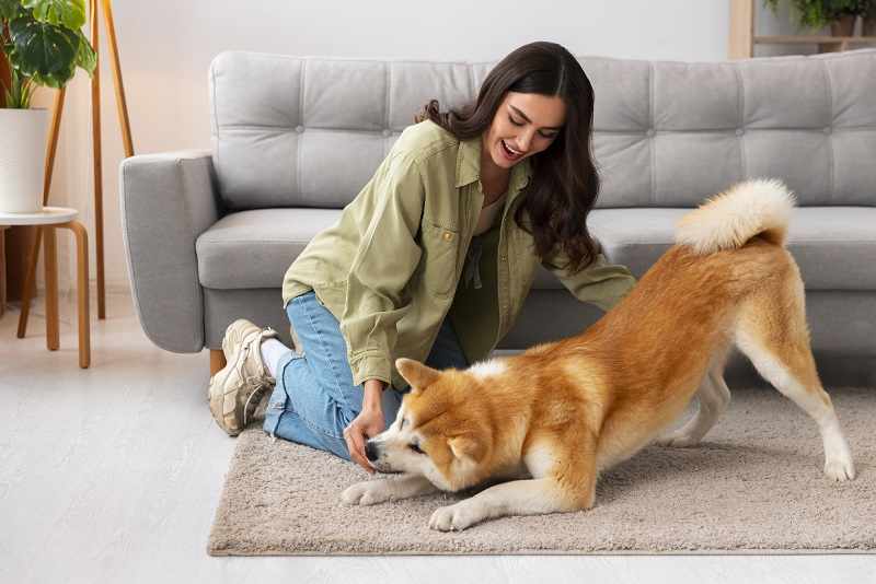 Common Dog Care Mistakes and How to Avoid Them