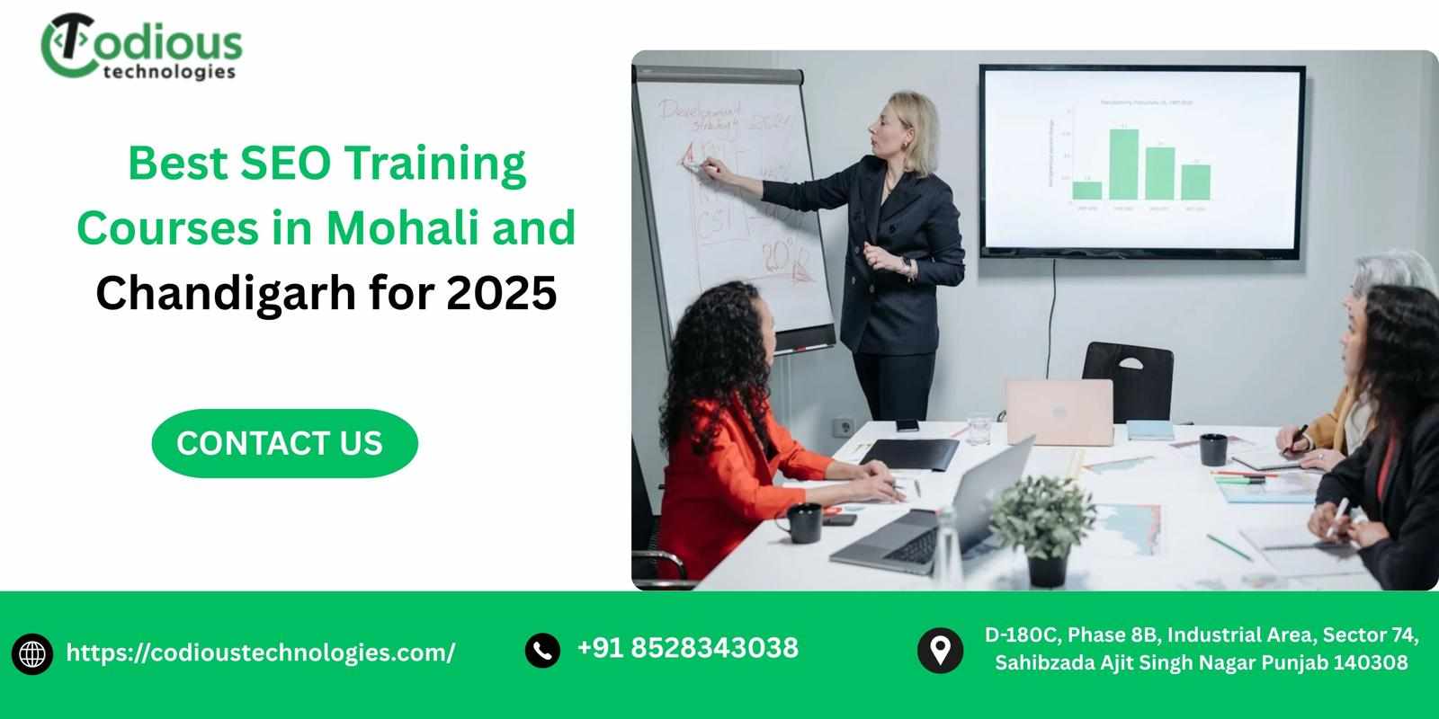 Mastering Digital Success: The Ultimate Guide to an SEO Training Course in Chandigarh and Mohali
