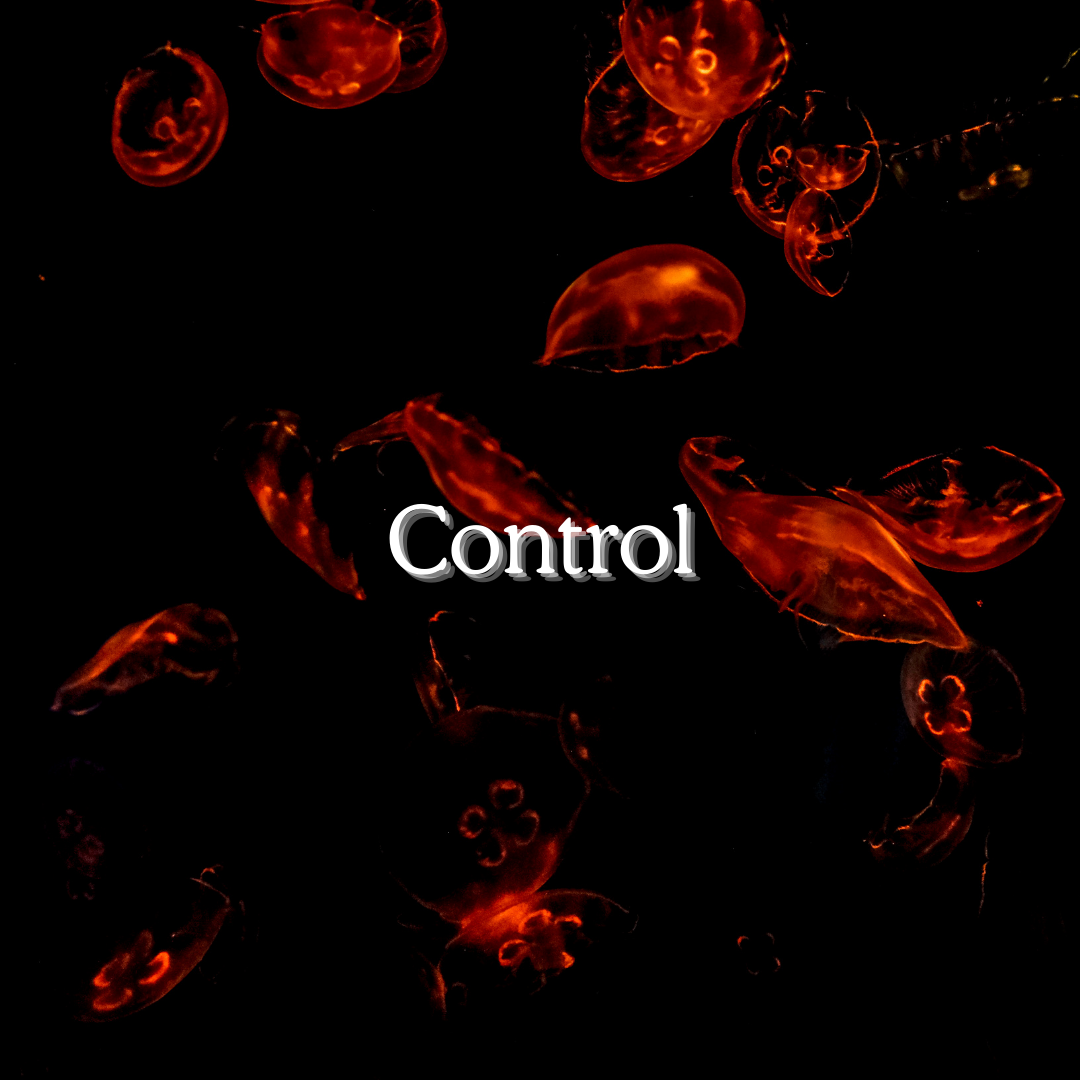 Control