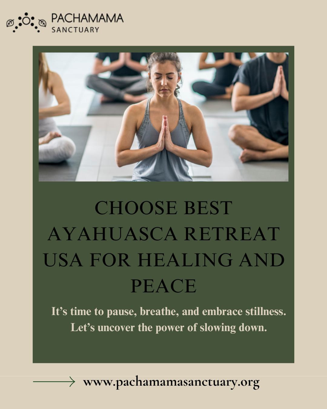 Choose Best Ayahuasca Retreat USA for Healing and Peace