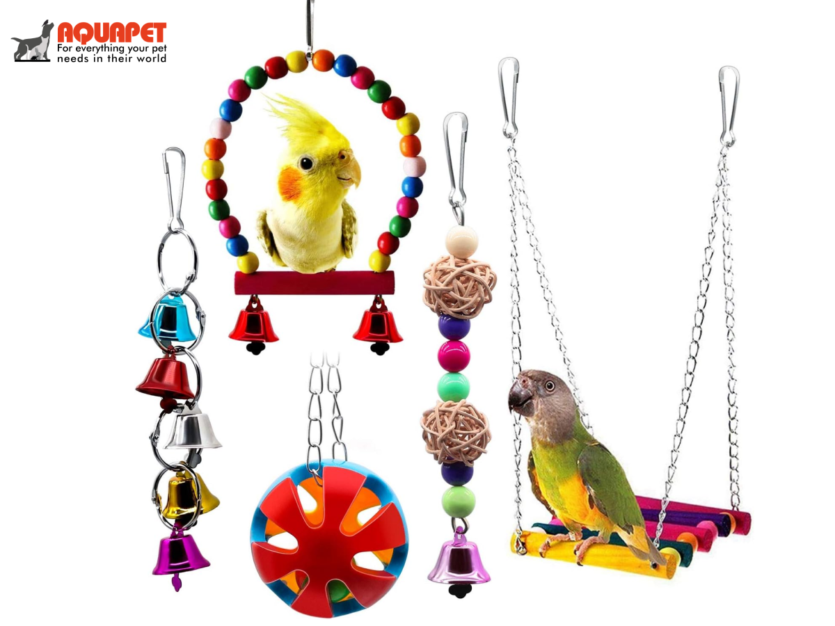 Discover Premium Bird Products and Pet Care Essentials at Aquapet 🐦🐾