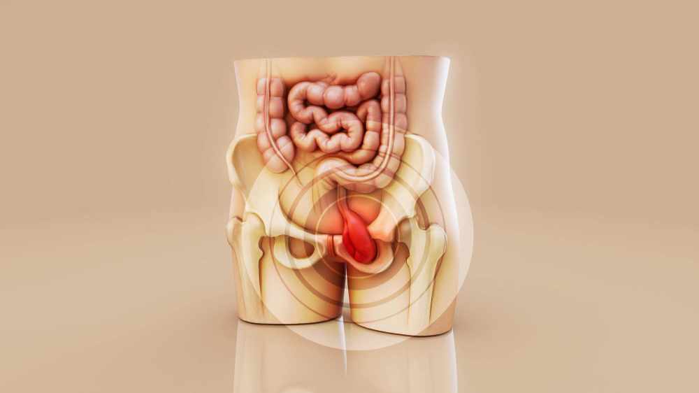 Short Bowel Syndrome: Market Insights, Research, and Emerging Opportunities