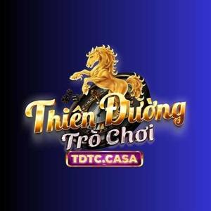 TDTC