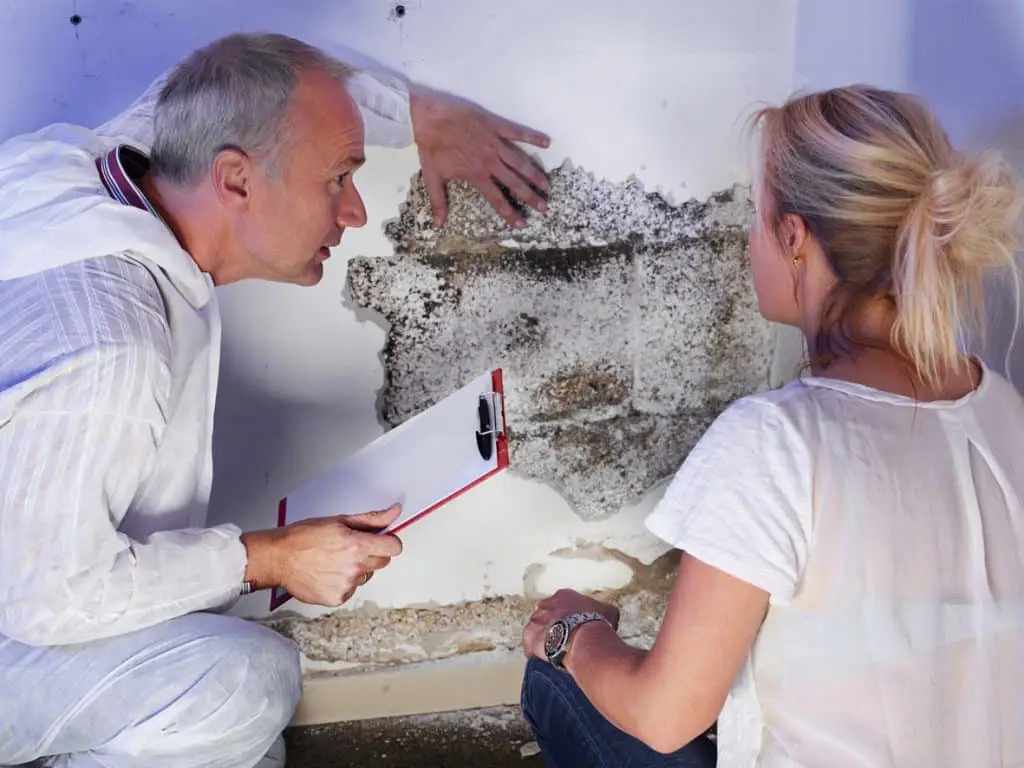 Understanding the Importance of Indoor Environmental Safety in NYC Homes
