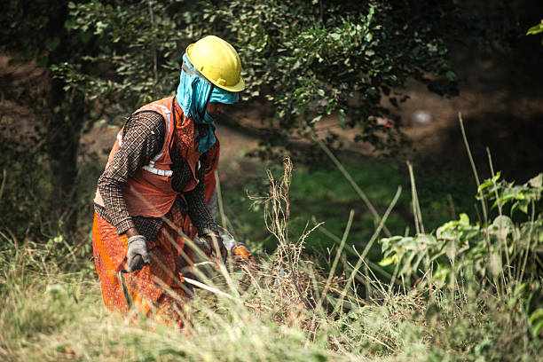 Insert picture description