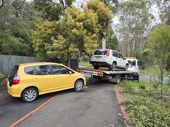 Best Car Shipping Company in Greenville for Hassle-Free Vehicle Transport