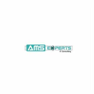AMS Expert IT Consulting