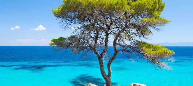 Taxi from Thessaloniki Airport to Ikos Olivia Resort is the Best Choice for Your Holiday