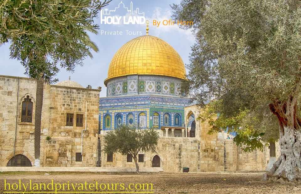 Top Reasons to Choose Private Tours for Your Holy Land Adventure