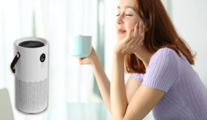 Freshia Air Purifier