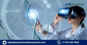 Biosimulation Market: Trends, Growth, Opportunities, and Forecast 2025–2034