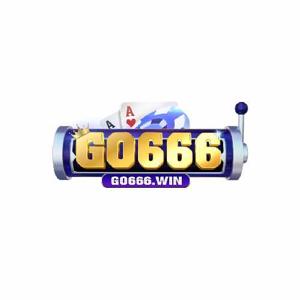 ettgo666win