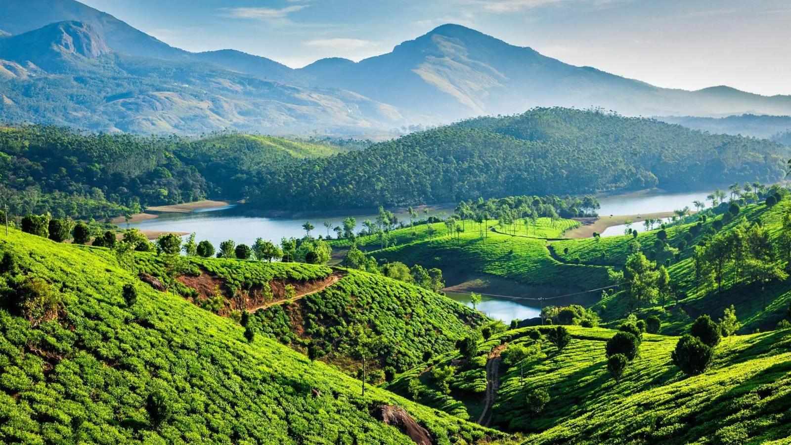 Explore Kerala in 5 Days: Cochin Munnar Alleppey Tour with Gets Holiday India Tour