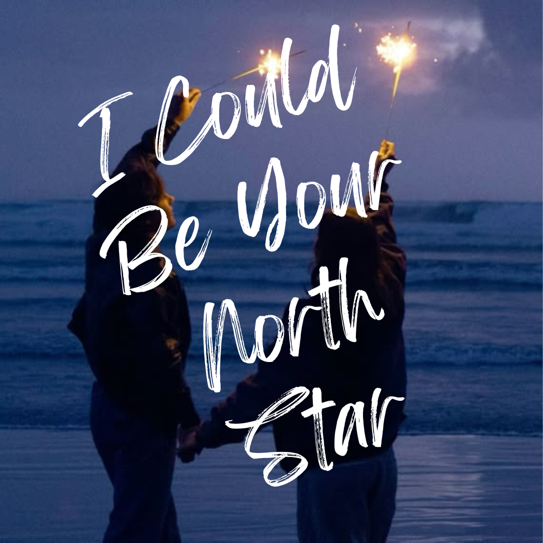 I Could Be Your North Star