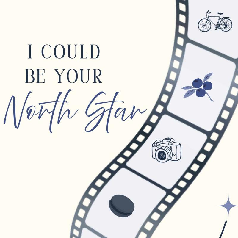 I Could Be Your North Star