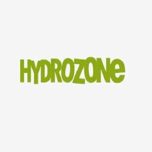 Hydrozone 