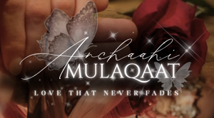 ⋅˚₊ A/N and Aesthetics ⋅˚₊