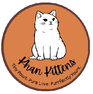 Khan kittens