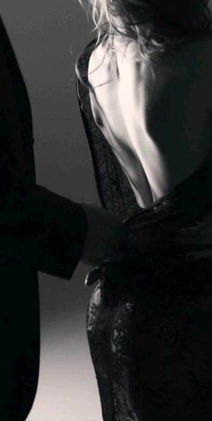 Silverlight🎀 logo