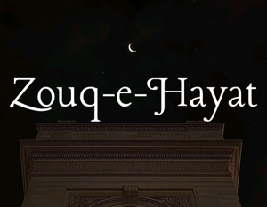 Character Aesthetics