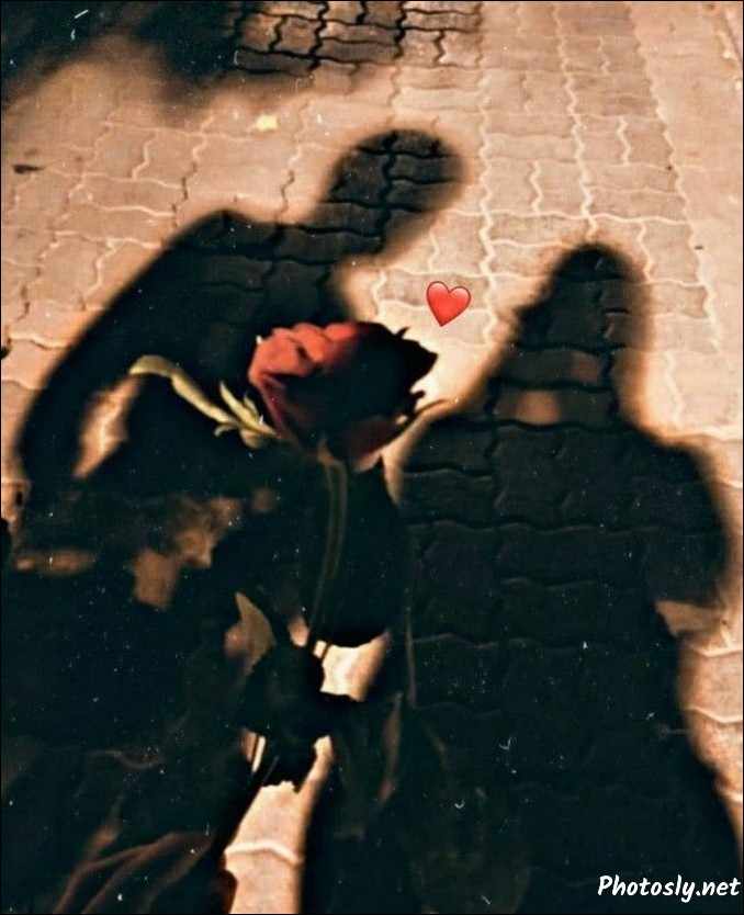 Blood rose