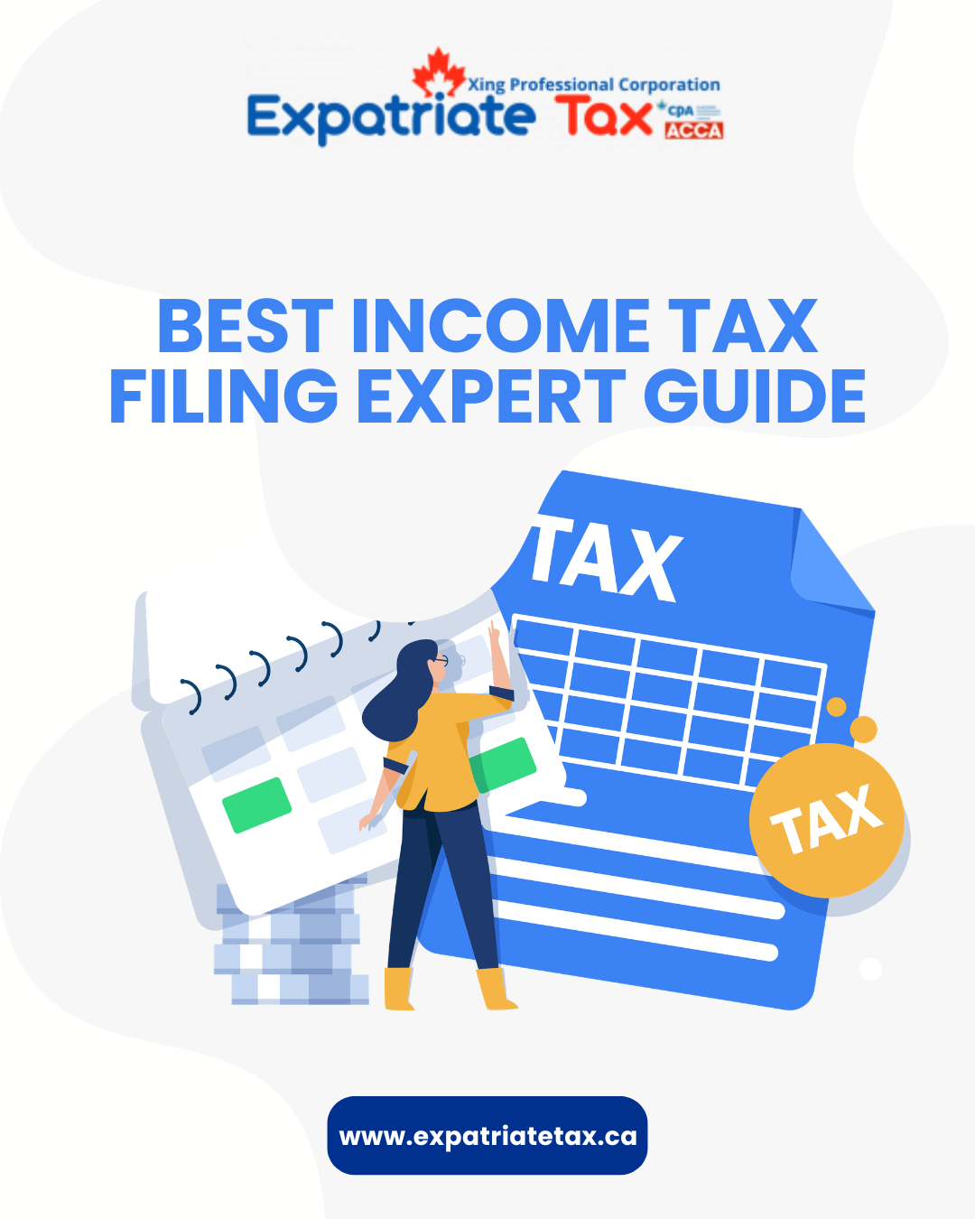 How to Choose the Right Professional for Your Income Tax Filing Services